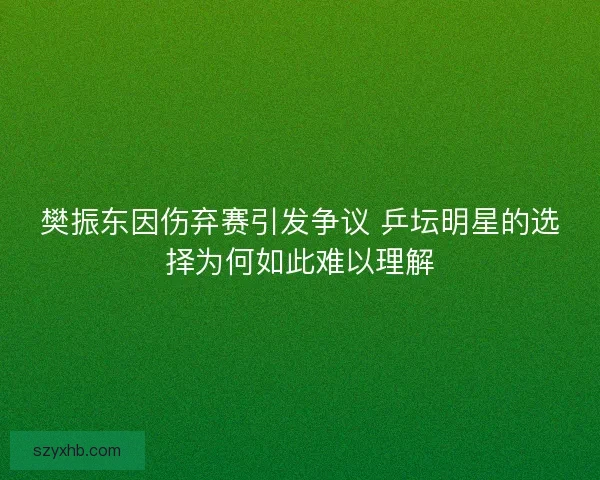 樊振东因伤弃赛引发争议 乒坛明星的选择为何如此难以理解