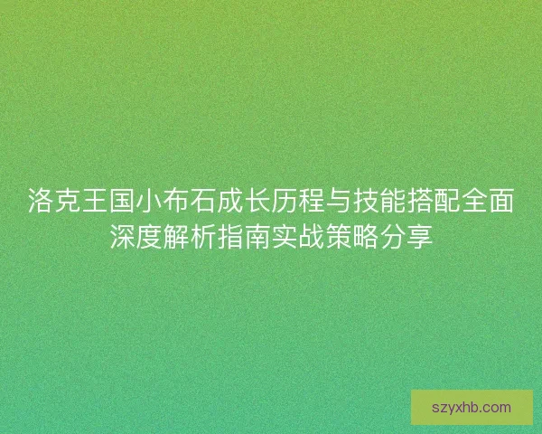 洛克王国小布石成长历程与技能搭配全面深度解析指南实战策略分享